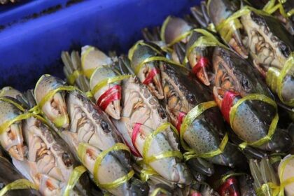 Savor the Flavor: Fresh Dungeness Crabs Now Available at Fisherman’s Wharf!