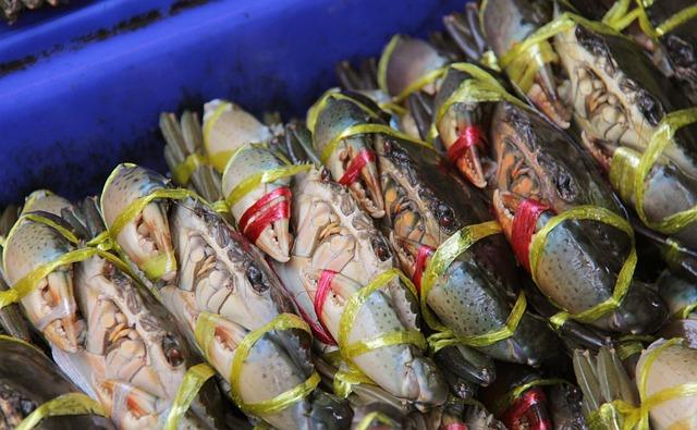 Savor the Flavor: Fresh Dungeness Crabs Now Available at Fisherman’s Wharf!