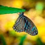 Supervisor Alan Wong’s Bold Vision for Reviving Car Access on the Great Highway Hits a Roadblock