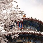 San Leandro Unveils Steven Taylor Memorial Pavilion: A Tribute Six Years in the Making