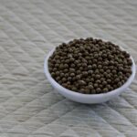 California Takes a Stand: Newsom Denies Louisiana’s Extradition Request for Bay Area Doctor in Abortion Pill Controversy