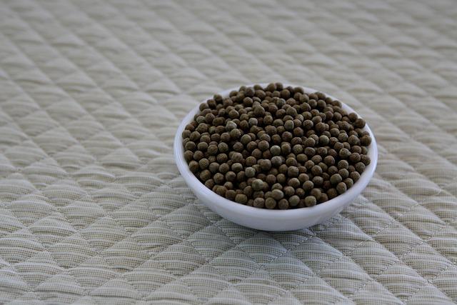 California Takes a Stand: Newsom Denies Louisiana’s Extradition Request for Bay Area Doctor in Abortion Pill Controversy