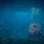 Grateful Dead Fans Come Together for a Moving Tribute to Co-Founder Bob Weir in San Francisco