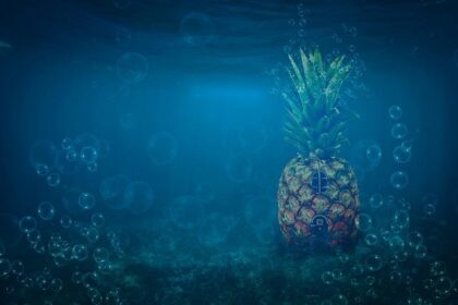 Grateful Dead Fans Come Together for a Moving Tribute to Co-Founder Bob Weir in San Francisco