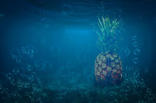 Grateful Dead Fans Come Together for a Moving Tribute to Co-Founder Bob Weir in San Francisco