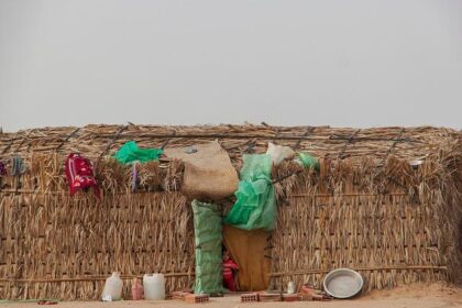 Join the Fight: Tackling California’s Crisis of Missing and Murdered Indigenous People