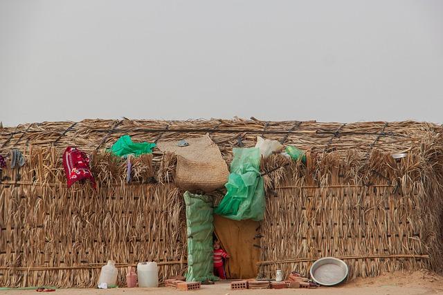 Join the Fight: Tackling California’s Crisis of Missing and Murdered Indigenous People