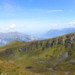 Newsom Bumped from Davos Event: Was Trump Behind the Move?