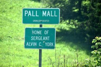 Brave SJPD Sergeant Wounded in Intense Armed Carjacking; Suspect Taken Down