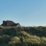 North Beach Takes on Pizza Waste: Unveiling San Francisco’s Creative Solution!