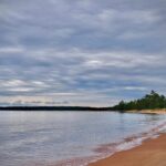 Stockton Vice Mayor Rallies Behind City Manager After Heartbreaking Accident