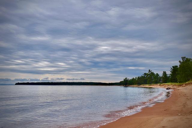 Stockton Vice Mayor Rallies Behind City Manager After Heartbreaking Accident