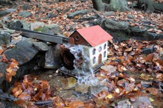 Help Us Bring Her Home: Urgent Search for Missing Elderly Woman in Mill Valley!