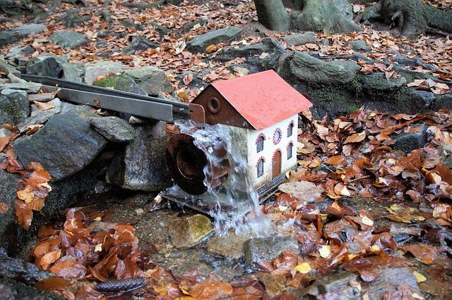 Help Us Bring Her Home: Urgent Search for Missing Elderly Woman in Mill Valley!