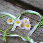 Unmissable Highlights: Hearts in SF, Jacob Ming-Trent, ‘Running After Shadows,’ Leonela Alejandro, and Chaeyoung Park!