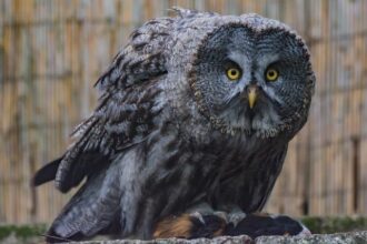 Safety Soars: BART Sees Dramatic Drop in Crime!