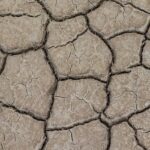 Bay Area Basks in Continued Dry Weather This Thursday!