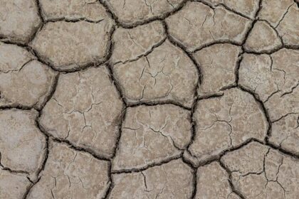 Bay Area Basks in Continued Dry Weather This Thursday!