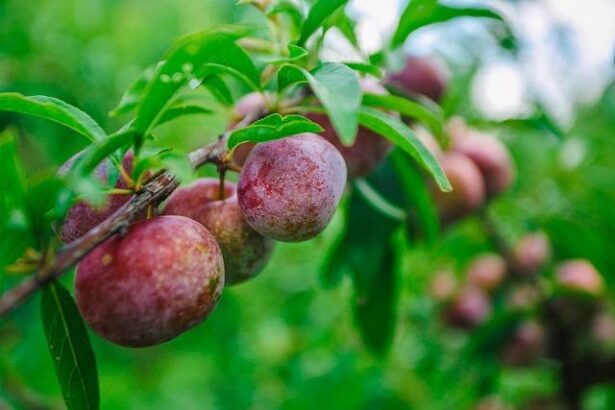 Tragic Loss: Tommy Lee Jones’ Daughter Victoria Discovered Deceased in San Francisco Hotel