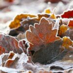 Exploring Minneapolis: A Journey Through the Heart of Press Freedom on Frozen Ground