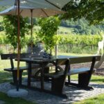 Savor the Flavor: Sausalito’s Annual ‘Souper Bowl’ Showdown This Saturday!