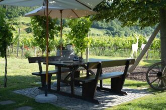 Savor the Flavor: Sausalito’s Annual ‘Souper Bowl’ Showdown This Saturday!