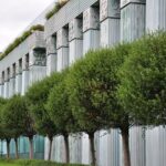 Supreme Court’s Bold Move: Implications of the Prop 50 Ruling for Our Future