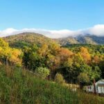 Floyd Mitchell Steps Up: Former Oakland Police Chief Takes Charge of Fremont Department