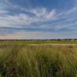 From Bay Area Romance to a Shocking Car Heist: A Massachusetts Man’s Unforgettable Journey!