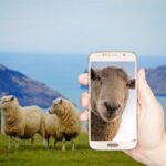 Flock Cameras in the Spotlight: Alameda County Faces Controversial Contract Decision