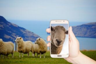 Flock Cameras in the Spotlight: Alameda County Faces Controversial Contract Decision