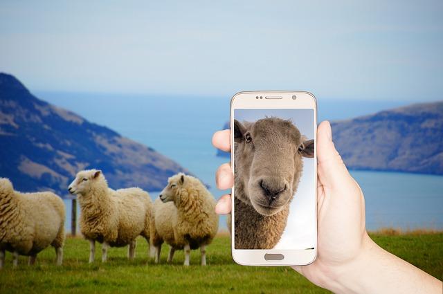 Flock Cameras in the Spotlight: Alameda County Faces Controversial Contract Decision