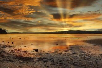 Tragic Collision in North Bay Leaves One Dead and Two Seriously Injured