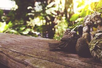 Unmasking Love’s Bitter Edge: The Fascinating Tale of Vinegar Valentines