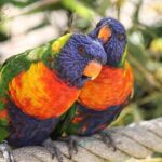 Lori Asuncion, former Stockton city attorney, appointed to handle legal affairs for Antioch