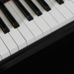 Search Intensifies for Missing Woman Last Seen in San Leandro as Ebony Alert is Canceled