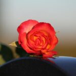 Missing Teen Rescued in North Bay: Arrest Made in Human Trafficking Case