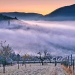 Hoopes Vineyard Takes a Stand Against Napa County’s Heavy Fine on On-Site Tastings