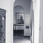 Historic Exhibits Under Fire: The Controversial Removal from National Parks, Muir Woods at the Center of the Storm