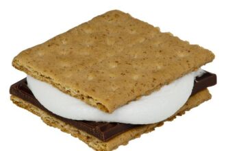 Graham Ike Shines with 22 Points as No. 11 Gonzaga Dominates San Francisco 80-59!