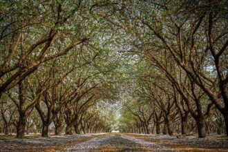 Fresno Unified Students Transition Back to In-Class Learning: Time to Return Laptops!