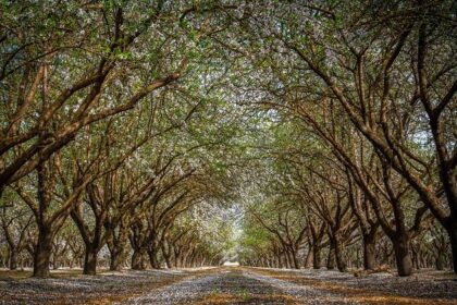 Fresno Unified Students Transition Back to In-Class Learning: Time to Return Laptops!