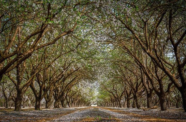 Fresno Unified Students Transition Back to In-Class Learning: Time to Return Laptops!