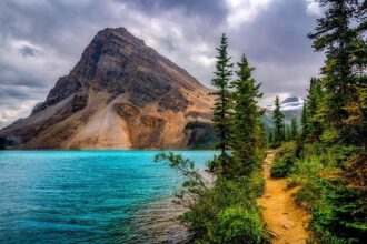 Modi’s AI Summit Surprises as Tech Giants Altman and Amodei Stay on the Sidelines