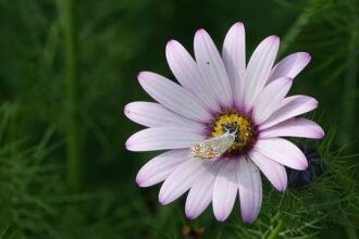 California’s Political Landscape in Flux: Democrats Brace for ‘Zombie Campaigns’ and a Rising Republican Challenge