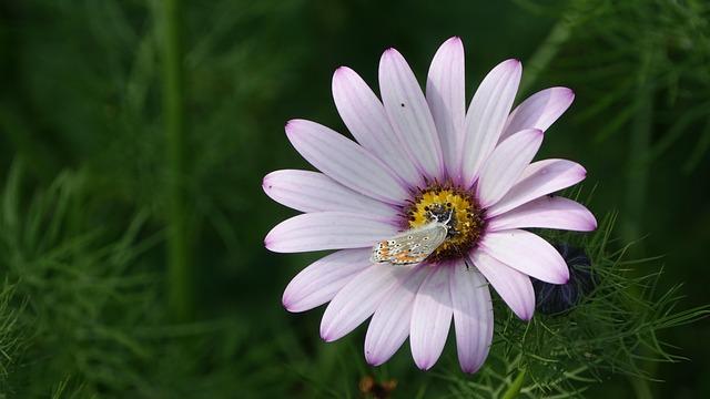 California’s Political Landscape in Flux: Democrats Brace for ‘Zombie Campaigns’ and a Rising Republican Challenge