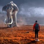 Controversial ‘Monstrous’ Fence at Thornton State Beach Set for Dismantling!