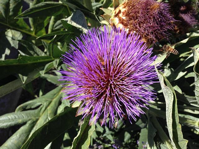 Gilroy Residents Rally Together to Halt Amazon’s Data Center Ambitions