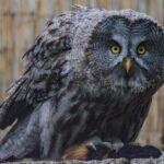 BART Unveils Solution to End 34,000 Delays: A Game Changer for Commuters!