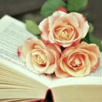 Prepare for a Literary Delight: The Count is Back to Enchant Readers!